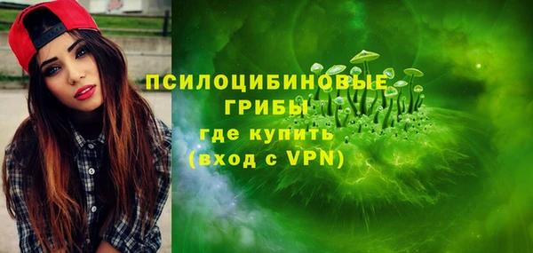 Альфа ПВП Краснослободск