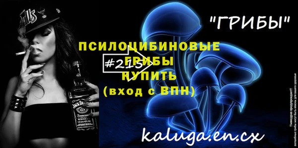 Альфа ПВП Краснослободск