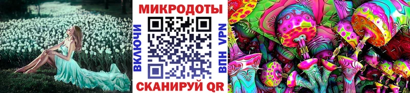 Галлюциногенные грибы мицелий Прокопьевск