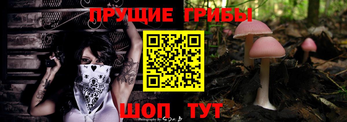 Прокопьевск  Галлюциногенные грибы Psilocybe  где купить   Вход с VPN  Галлюциногенные грибы Magic Shrooms 